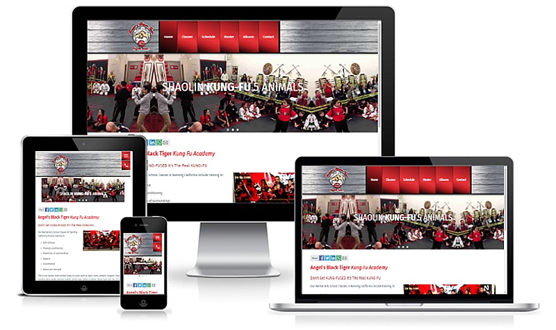 Kung Fu professional website design