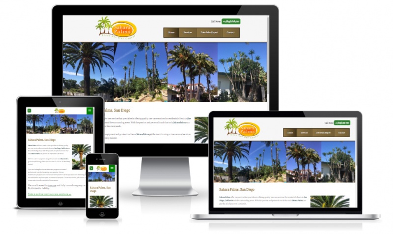 Sahara Palms website movil responsivo